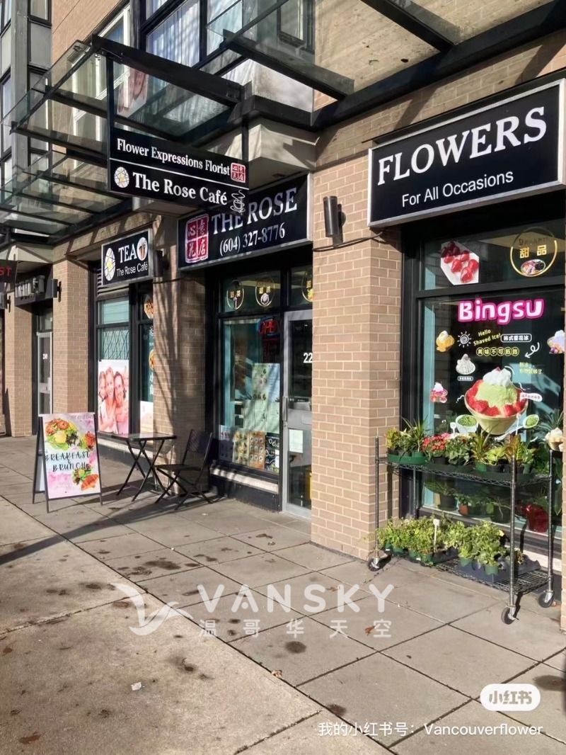 260202114156_image2 15.jpeg